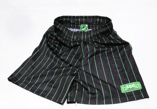 Skunk Pinstripe Mesh Shorts