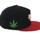Blunt to the face Snapback