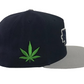 Blunt to the face Snapback